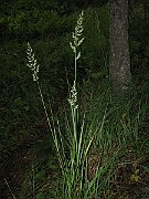 IMG_5014