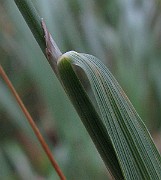 IMG_5016