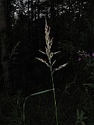 IMG_5067