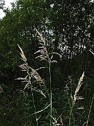 IMG_5072