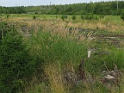 IMG_5321