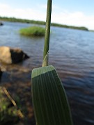 IMG_8229