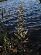 IMG_8236