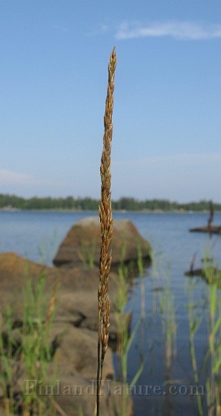 IMG_4991.jpg