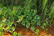 IMG_6463