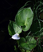 IMG_9844