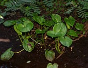 IMG_9850