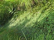 IMG_9150
