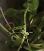 IMG_9447