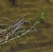 IMG_9659