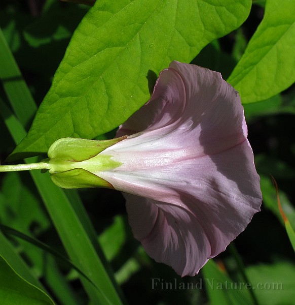 IMG_3337.JPG