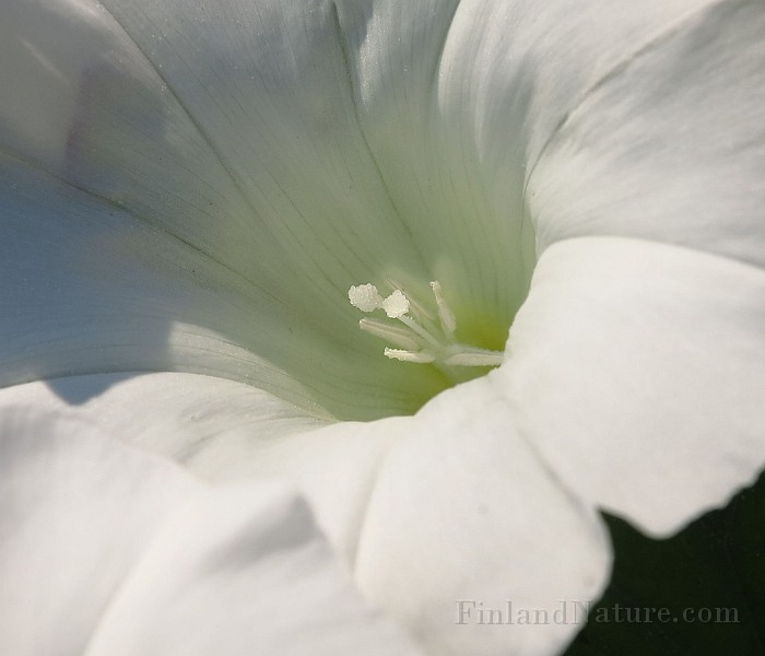 IMG_1793.JPG -                                