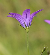 IMG_0473