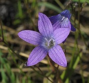 IMG_7683