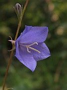 IMG_3268