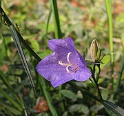 IMG_3269