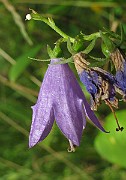 IMG_2945