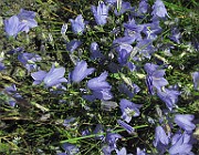 IMG_6193