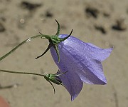 IMG_6197