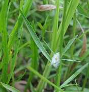 IMG_6568