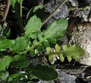 IMG_7579