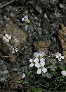 IMG_7587