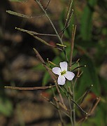 IMG_9212