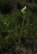 IMG_9215