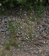 IMG_9359