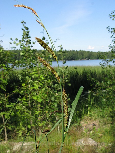 IMG_3795.jpg
