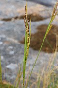 IMG_0610