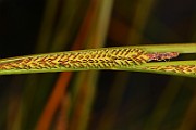 IMG_0611