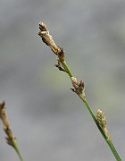 IMG_6656
