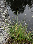 IMG_6658