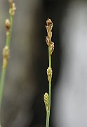 IMG_6659
