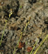 IMG_4089