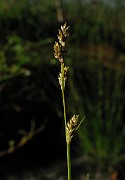 IMG_4092