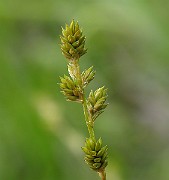 IMG_6469