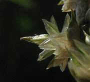 IMG_5515