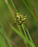 IMG_7759
