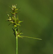 IMG_7764
