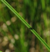 IMG_8077