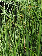 IMG_8078