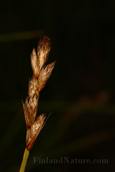 IMG_1477.JPG