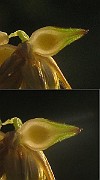 IMG_3738