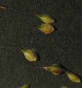 IMG_3745