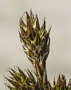 IMG_7224