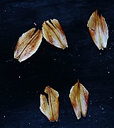 IMG_9730
