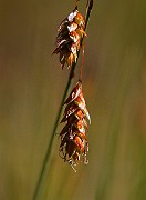 IMG_0057