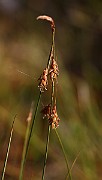 IMG_0058